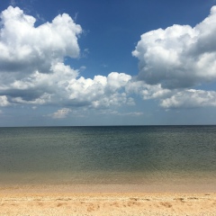 Ольга Сыпченко