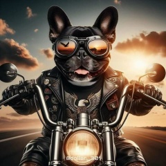 Константин Московский, 25.10, Москва