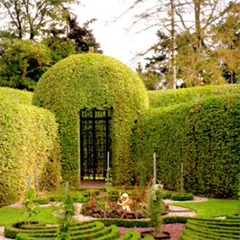 Вадим Инжутов, 01.01.1901, Уфа