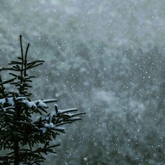 Дарья Иванова, Санкт-Петербург