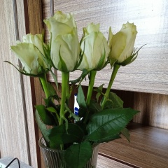 Елена Еленка, 28.02.1973, Екатеринбург