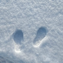 Аскар Калиев, 04.05.1994, Уральск