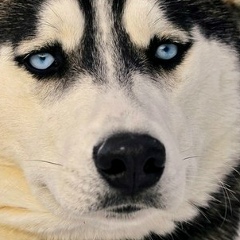 Ольга Калинина, 14.04.1998, Иваново