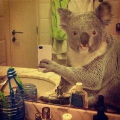 Anatoliy Sydorenko, 01.01.1989, Ужгород