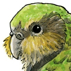 Антон Овчаренко, 29.04.1990, Киев