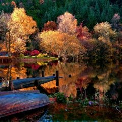 Оксана Юшкевич