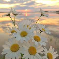 Айсулуу Уметалиева, 07.05.1990, Бишкек