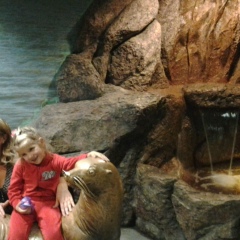 Оксана Новосад, 24.11, Санкт-Петербург