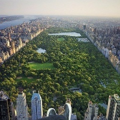 Олексій Тіщенко, 01.03, Пологи