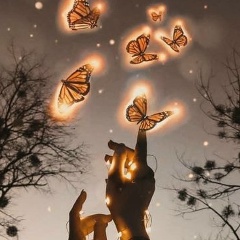 Радмила Хамхоева, Назрань