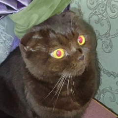 Оксана Козлова, 16.05, Москва