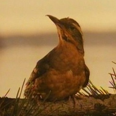Ванька Анисимов, 10.11.1990, Москва