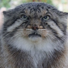 Александр Липницкий, 14.01.1985