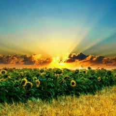 Юлия Дубовик, 22.03.1985, Киев