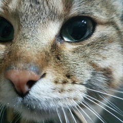 Мурат Буклов, 22.08, Владикавказ