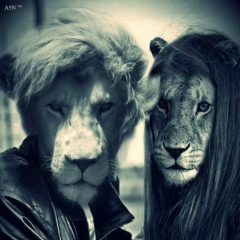 Надир Султанов, 16.07, Москва