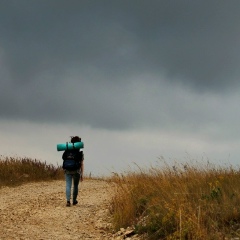 Елена Старцева, 24.09, Москва