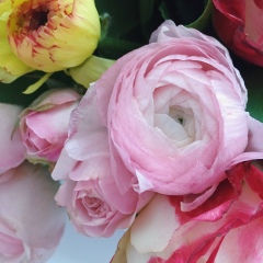 Катерина Брайко, Москва