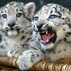 Лена Ручкина, 01.01, Москва