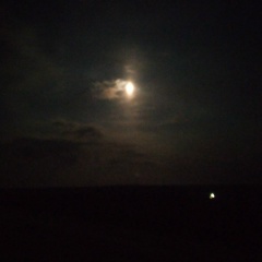 Александр Менгунов, Элиста