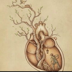 Давид Д, 02.03