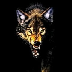 Жека Ярошенко, 08.10, Краснодар