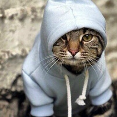 Хасан Хусейнов, 15.06, Boston