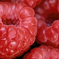 Гульжан Абилова