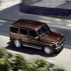 Милена Абрамович, 30.11, Москва