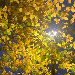 Татьяна Скакун, Новосибирск