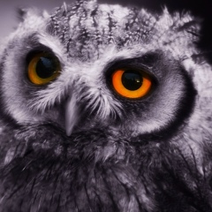 Наталья Устюгова, Омск