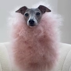 Анна Курданова, 30.11.1979, Алматы