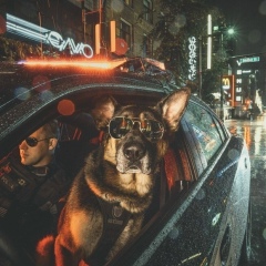 Александр Гильмутдинов, 29.01.1990, Тольятти