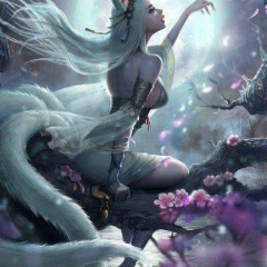 Kyaw Htat, 01.02.2004