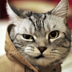 Саша Форд, 23.09, Москва