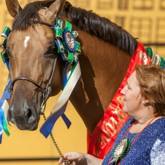 Анна Николаева, 10.12