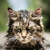 Василий Куклин, Вильнюс