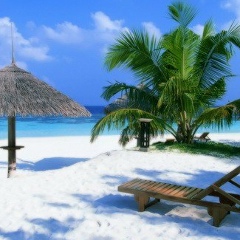 Алена Гриднева, Москва