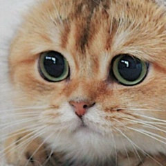 Ася Дотдаева, 10.08.1993