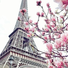 Гульфат Тажигутова, 18.05, Астана