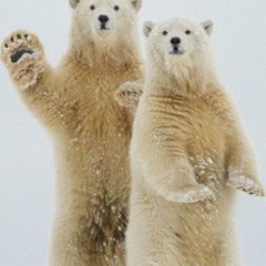 Михаил Михайлов, 10.09, Москва