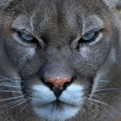 Али Клышпаев, 08.06, Алматы