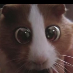 Алексей Валов, 19.11, Набережные Челны