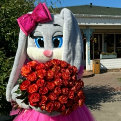 Ростовые Куклы Ведущая Украшение Шарами Тканями