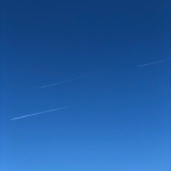 Галина Р, Санкт-Петербург