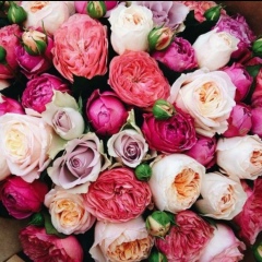 Aigul Soltanbek, 18.03