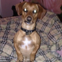 Іван Іванов, 18.02.1991, Тернополь