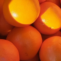 Юлия Шумилова, Санкт-Петербург