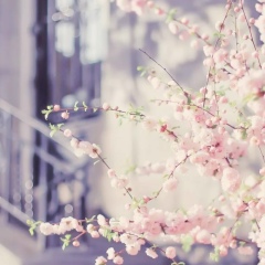 Дарья Лазуренко, 12.07, Ростов-на-Дону