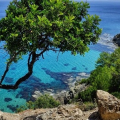 Игорь Кудряш, 11.01, Москва